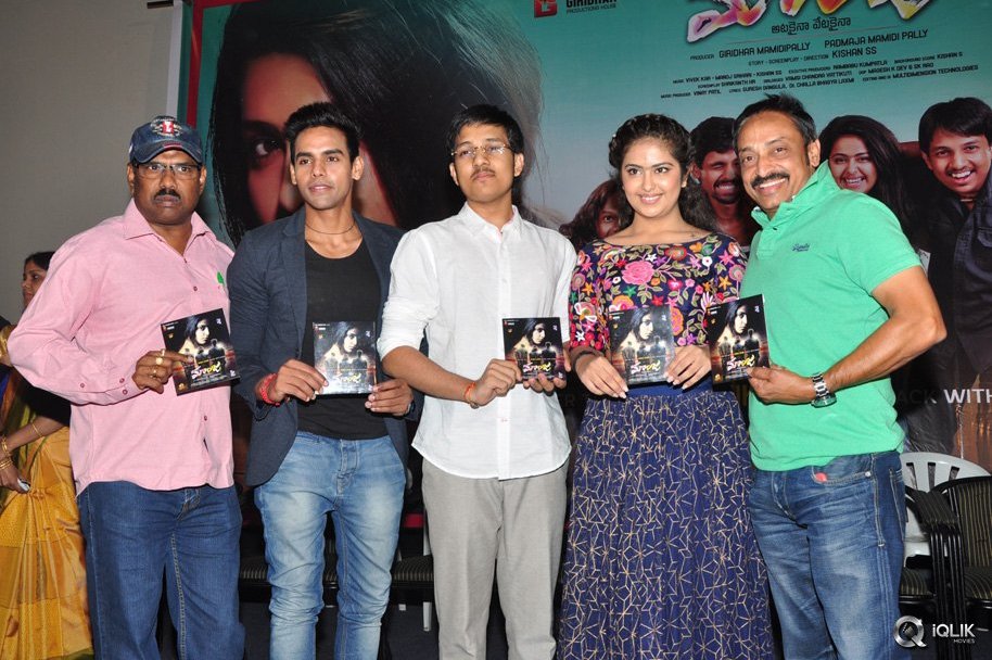 Maanja-Movie-Audio-Launch